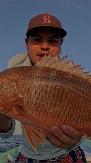 Pesca de un buen pargo | Pesca con Roger