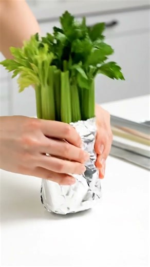 Store celery in #reels #shorts #shortvideo #Hackbite #viral #trending #foodhacks