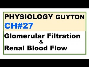 Ch#27 Physiology Guyton | Glomerular Filtration | Renal Blood Flow | Renal Physiology