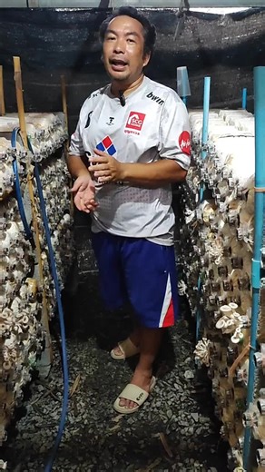 รดน้ำเห็ดนางฟ้าภูฐานอย่างถูกต้อง