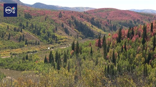 Video: Cache Valley Visitors Bureau hopes to draw people with fall colors, festivals - KSLTV.com