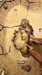 How To Extract Gold From Dirt | Time To Relax
