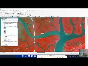Mangrove mapping part 1 using ArcMap
