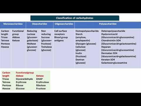classification of carbohydrates