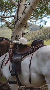 Introducing our Heritage Endurance saddle! This is the latest model of Tucker’s endurance saddle that was first created 35 years ago. The Heritage Endurance has a minimalist design to both reduce weight and facilitate close contact with the horse. This saddle weighs just 21 pounds and is perfect for the rider who wants a lightweight saddle or a saddle with minimal skirting for a better fit to a short backed horse. . . . . #trailriding #endurancesaddle #enduranceriding #wearetrailriders #knowledg