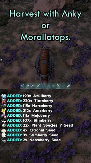 Where to Find Rare Mushrooms in Ark: Scorched Earth #shorts
