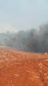 2.8K views · 78 reactions | *Polícia Militar e agricultores conseguem...