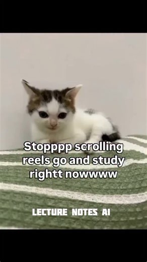 LectureNotes AI | Download LectureNotes AI and stop pretending this scroll counts as productivity. Your books are calling louder than your feed right now.... | Instagram