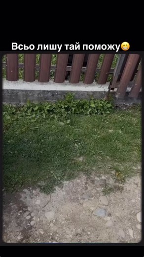 ПЛАТФОРМА🇺🇦 on Instagram