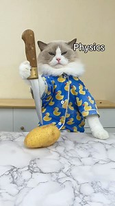 🔬🐾 Dr. Puff's exploring cool physics tricks—can you guess which ones are real? 🎩✨ #DrPuff #PhysicsFun #thatlittlepuff | That Little Puff