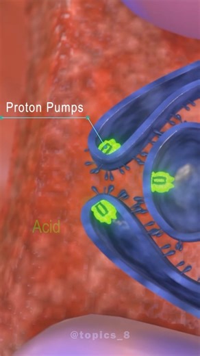 TOPICS by Naveen kumawat on Instagram: "Methods of transportation in cells | #reels #science #medico"