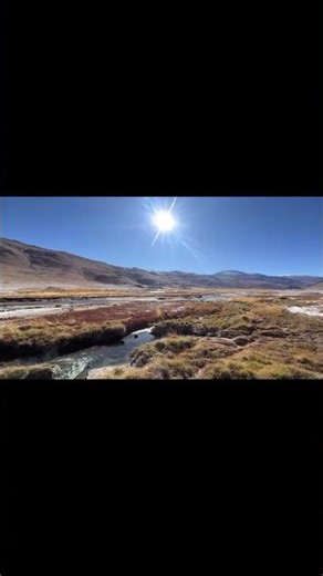 Puga hot spring Ladakh #trending #indianregion #lehladakhtourism #travel #trendingshorts #himalayan