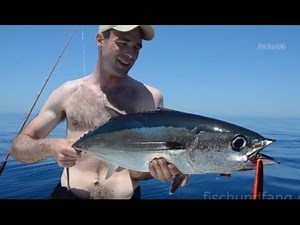 Sea fishing off Mallorca