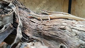 16 reactions | Freshly arrived and settling in after quarantine. Our...