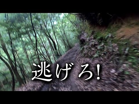 閲覧注意！【恐怖の廃村探索】過去に一度は復活した集落が再び廃集落に【下皆】和歌山