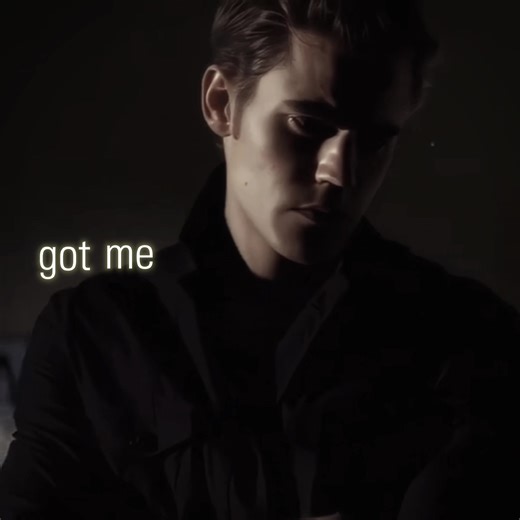 Stefan Salvatore: A Tribute to The Vampire Diaries