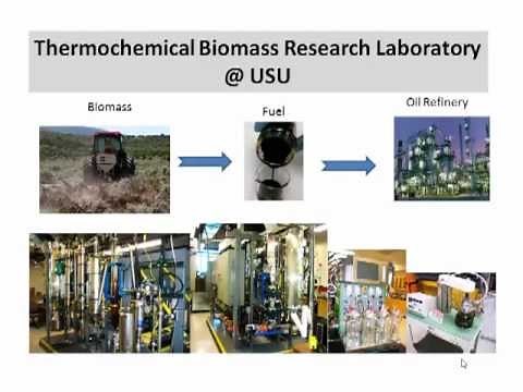 Thermochemical Conversion of Biomass to Fuels and Chemicals - Pyrolysis and Gasification