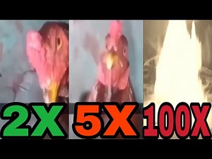 The Chicken Beatbox but it gets faster