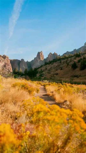 Level up your photography with composition techniques