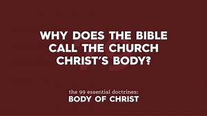 The Gospel Project - The Gospel Project