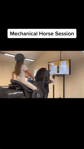 Mechanical Horse Training for Perfect Posture and Position