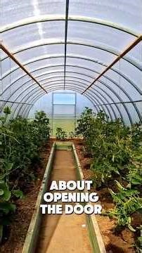 The Deadly Mistake Killing Plants in Polytunnels