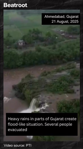 Faye D'Souza on Reels