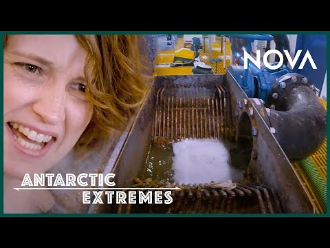 Where Does the Poop in Antarctica Go? | Antarctic Extremes