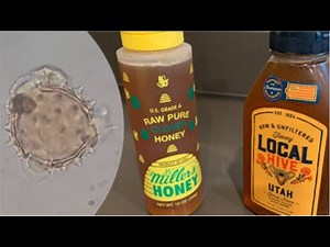 Raw vs. Filtered Honey Under the Microscope