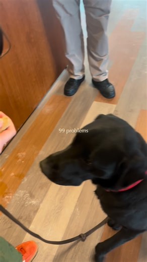 No problems here when our Hawks have Teddy! ❤️🐕‍🦺 @uhartpublicsafety | University of Hartford