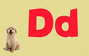 【英文字母】字母Dd,跟着视频学习26个英文字母，轻松搞定英语启蒙