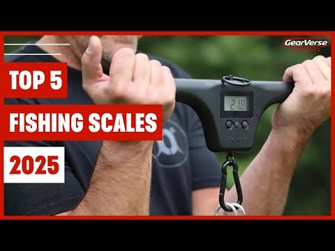 Top 5 Best Fishing Scales 2025 🎣 | Accurate, Durable & Easy to Use!