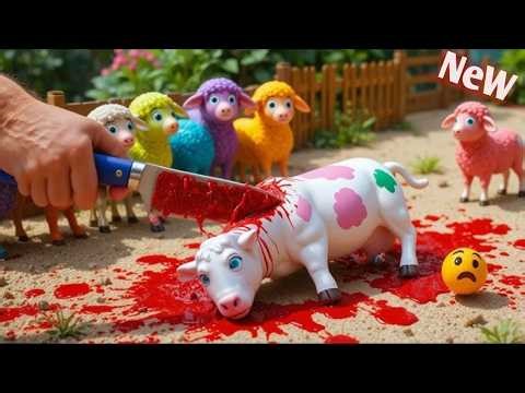 “WADIDAW!! Proses Potong Sapi Kurban | Fun Cesar Birth Process 🐄😂 Cow & Sheep Funny Videos 2026”