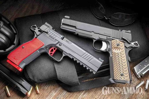 Dan Wesson DWX and Specialist Pistols: Full Hands-On Review - Guns and Ammo