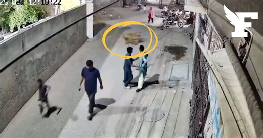 Pakistan: un lion domestique s'échappe et saute sur une femme et ses enfants à Lahore