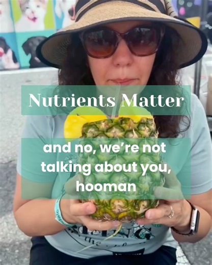 Virtuous Vittles on Reels | Facebook