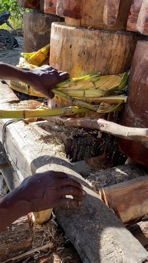 Belle Images Nòmal: Tendenzi Viral sou TikTok