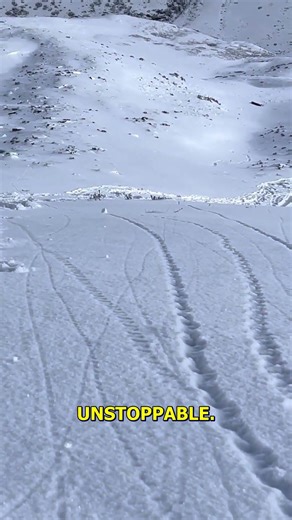 The Snowball That Became an Avalanche Starter.