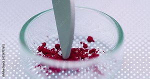 Petri Dishes with Bacteria, Tissue and Blood Samples. Medical Research Laboratory Curing Epidemic Diseases. Close-up Macro