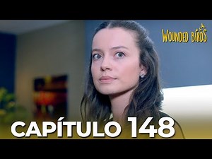 Omer Sueños Robados | Capítulo 148