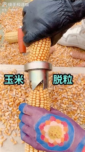 A hand-cranked corn sheller that makes de-kerneling easy, fast, and safe for your hands 🌽💪#FarmTools #LifeHack #CornSheller #EasyAndFast | ShanghaiEye