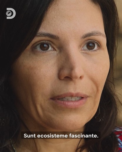 13K views · 54 reactions | Pentru a sărbători Ziua Pământului, pe 22 aprilie urmărește “Lupta din adâncuri: Reciful de corali” la Discovery, de la 20.00.  Explorează coralii ascunși în Marea Roșie și fascinanta, unica biodiversitate susținută de corali, în acest documentar uimitor.  #mare #ocean #pamant #corali | Discovery România | Facebook