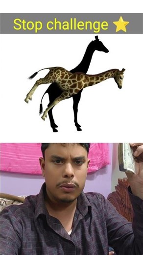 funny stop game challenge 🐎