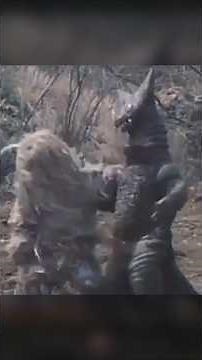 Redman Episode 21 Analysis | Kaiju Redemption Arc? Redman Vs. Gomora & Woo Again #ultraman #kaiju