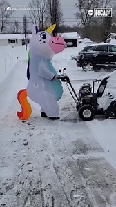 125K views · 167 reactions | Have you ever seen a unicorn using a snow blower?! #unicorn #feelgood #funnyvideos #positivevibes #goodnews | Localish | Facebook