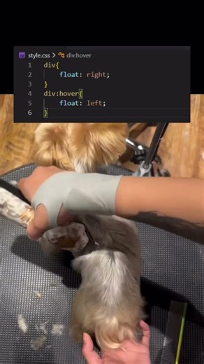 float left and right #htmlcss #programming #coding