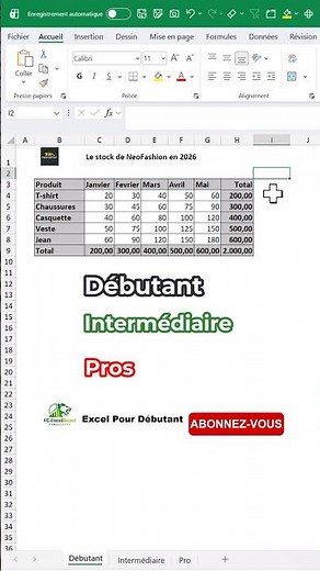 🇫🇷~ Adding in #Excel: Beginner vs Intermediate vs Pro