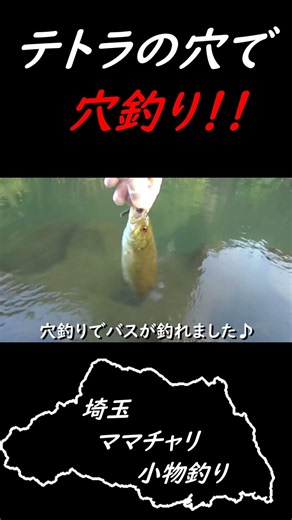 Fishing in the gaps between tetrapods #SmallmouthBass #BassFishing #Bluegill #CatfishFishing #DAI...