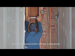 Termite heat treatment- english