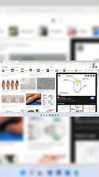 Mouse တစ်လုံး အခြေခံ အသုံးပြုနည်း (Computer Basic) #computer #basic #courses #onlinelearning